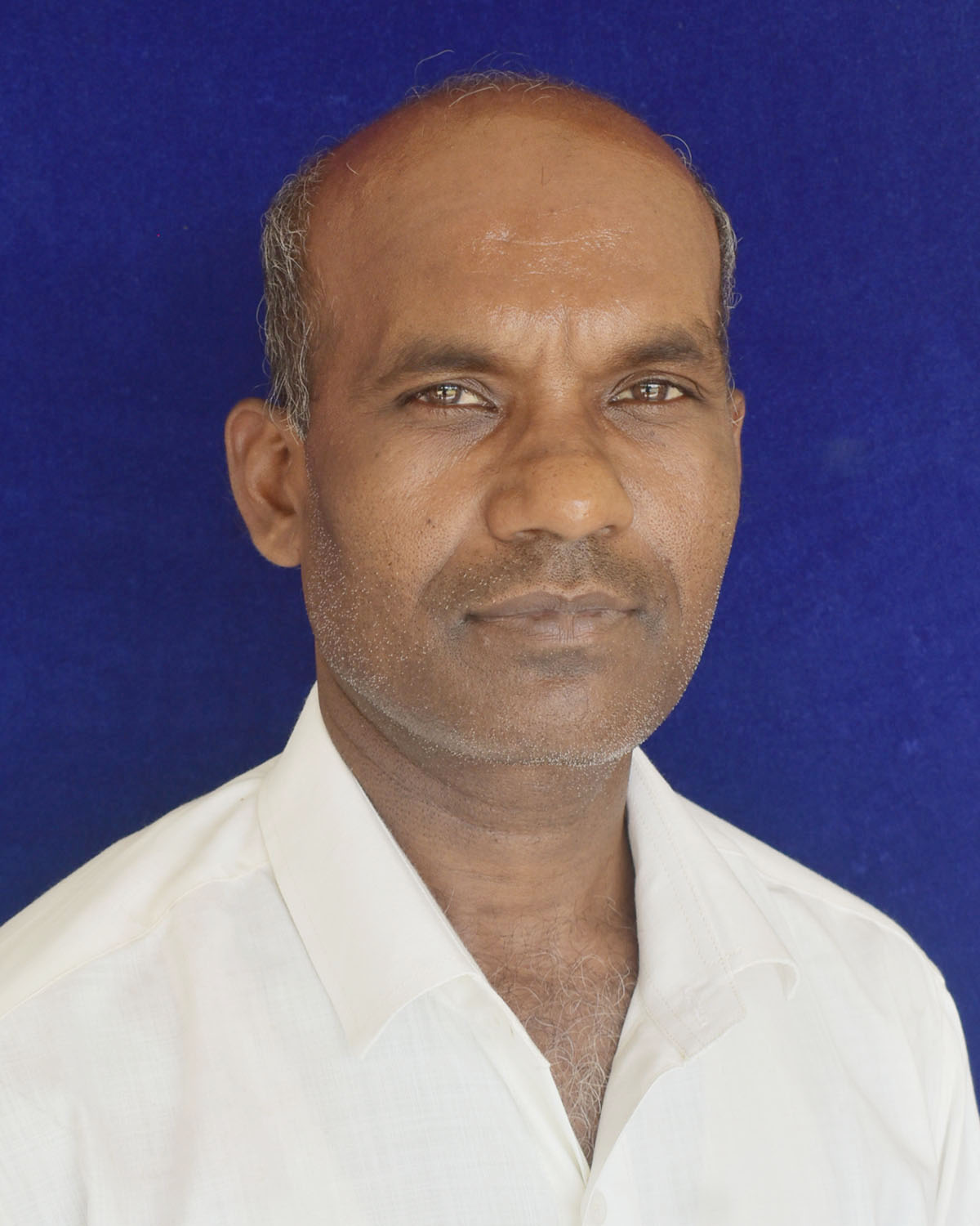 RAJESH KUMAR YADAV